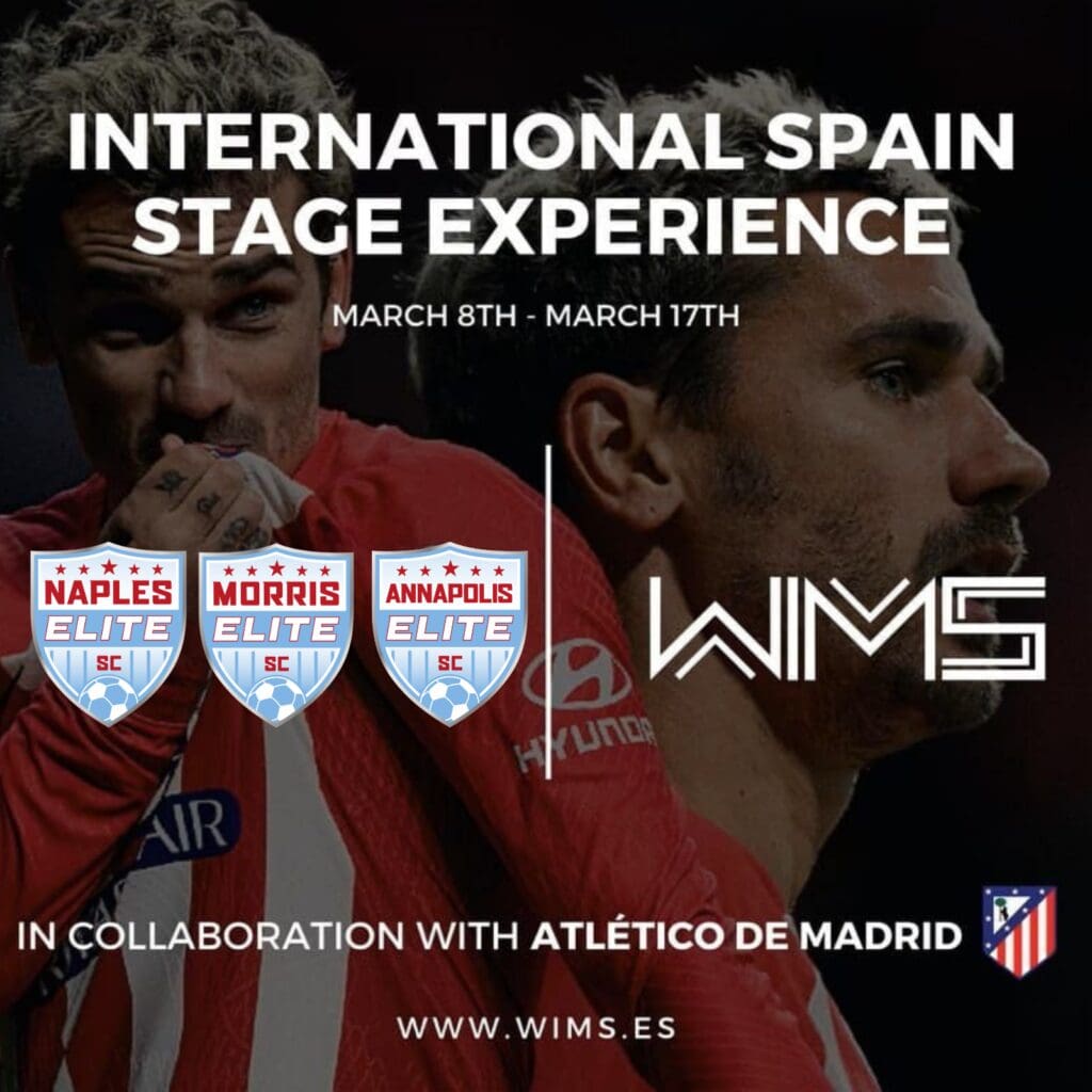 PLAYER PATHWAY AESC (2)